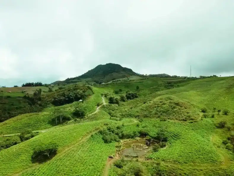 Banner Datos que Impactan